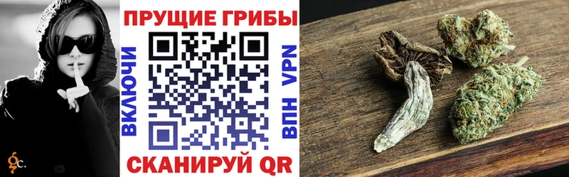 Галлюциногенные грибы мухоморы  цена   Жигулёвск 
